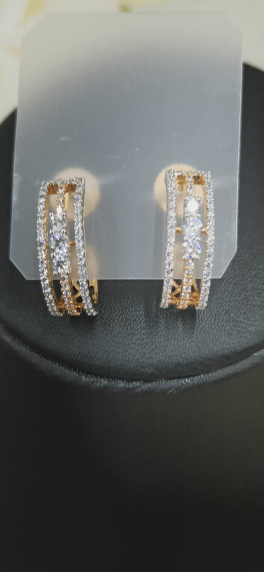 Ear25 181